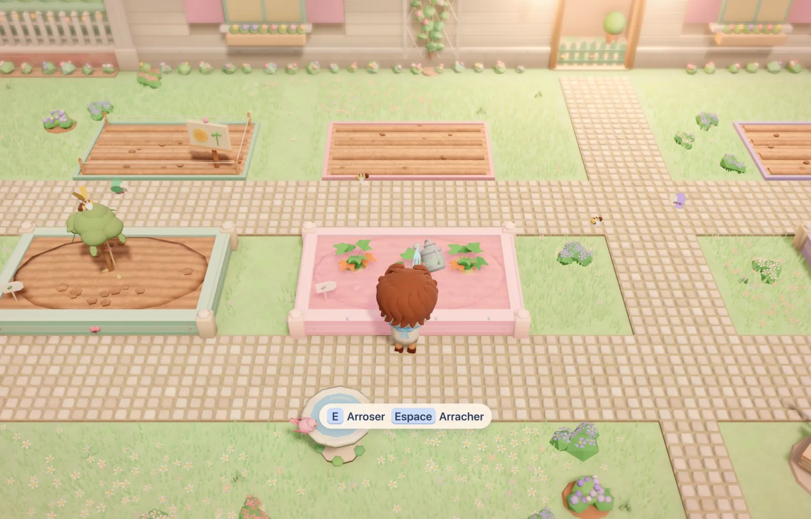 Capture du jeu : le potager et ses bacs en bois, la barista arrose de jeunes pousses.